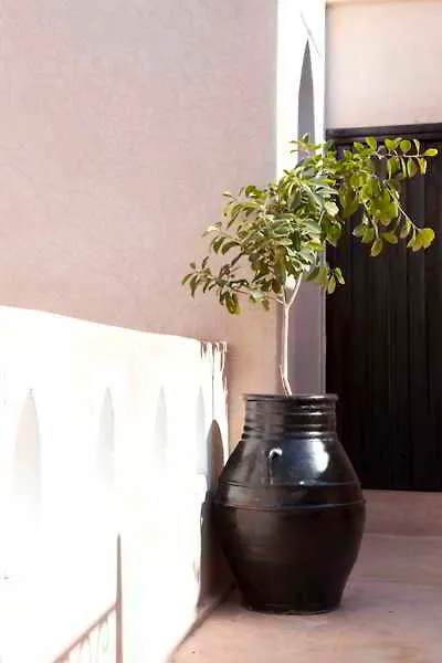 ****  Riad Le Rubis Marrakesh Morocco